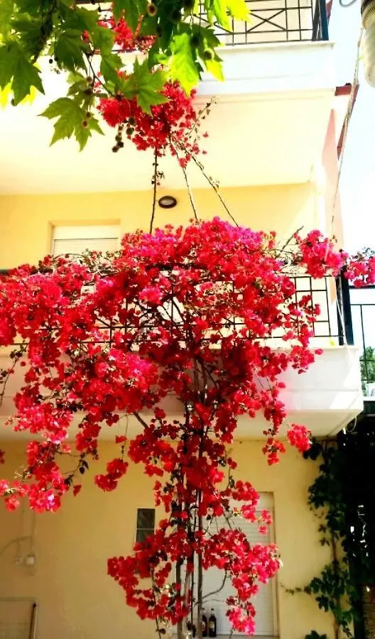 Beautiful And Cosy Apartment!!! Nikiti  Nikiti (Sithonia)